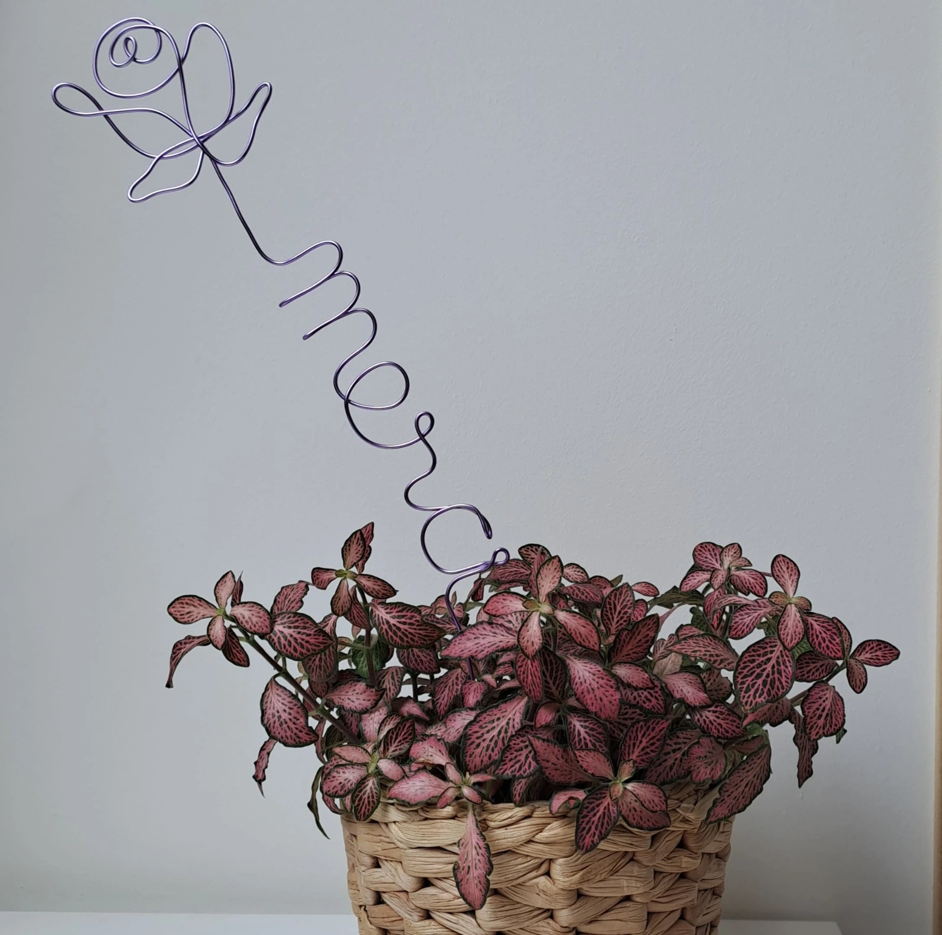 Fleur en métal fait main - Rose éternelle avec message Merci - Cadeau maîtresse (Fuchsia)